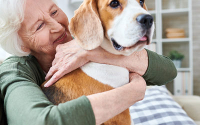 Pet Therapy in Aged Care: How it can help