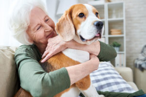 pet therapy aged care